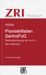 Abbildung: Praxisleitfaden SanInsFoG