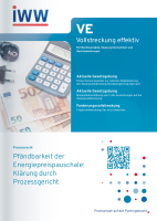 Vollstreckung effektiv (VE)